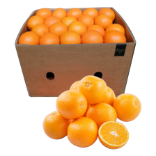 Perssinaasappel voordeeldoos